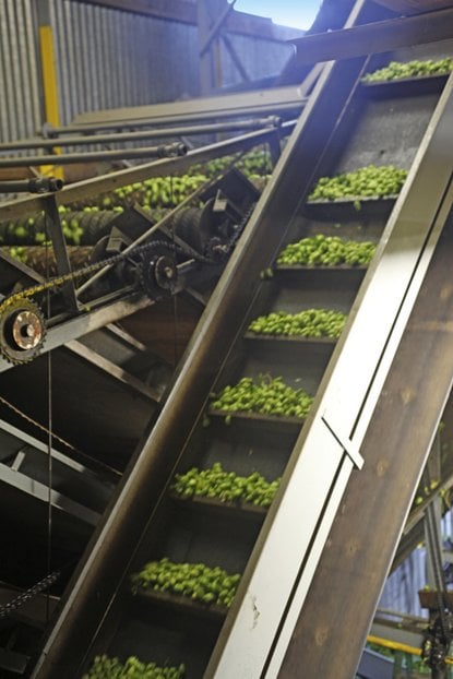 hops growing shortage