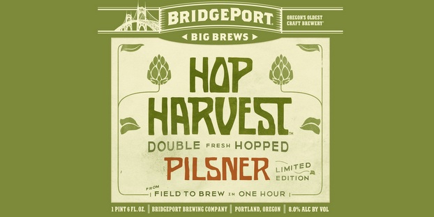 BridgePort Brewing Hop harvest 900 pounds