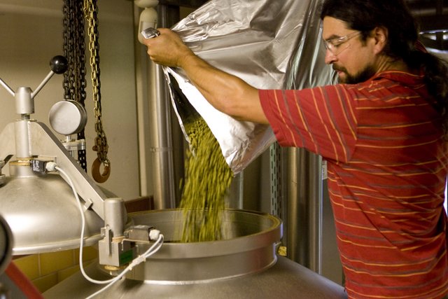 This is how hops are added normally to New Belgium beers. Brewmaster Eric Salazar dumps them by hand. 