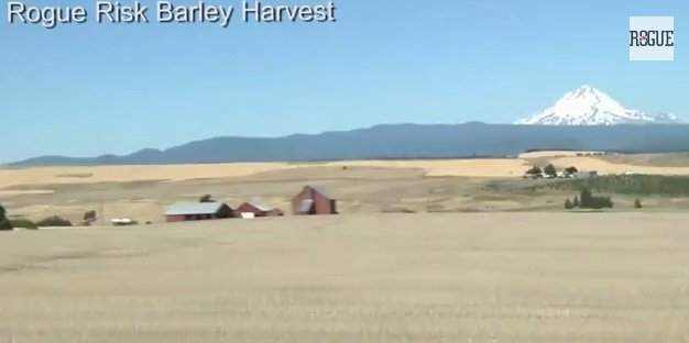 Rogue Ales Risk Barley Harvest