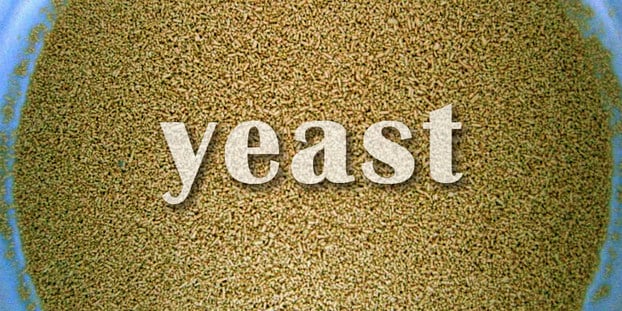 yeast pitch skid craft brewers