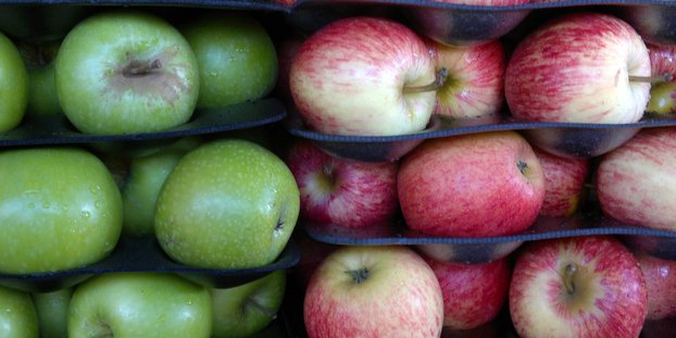 Apples threaten hop harvest