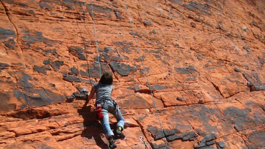 new belgium red rock climbing 