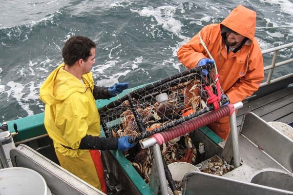 Ok, not exactly Rogue Farms, but here's a photo of hauling in pots filled with Dungeness Crab off the coast of Newport, Ore. The crabs for Rogue's Seafood Landings.
