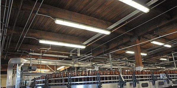 efficient brewery lighting