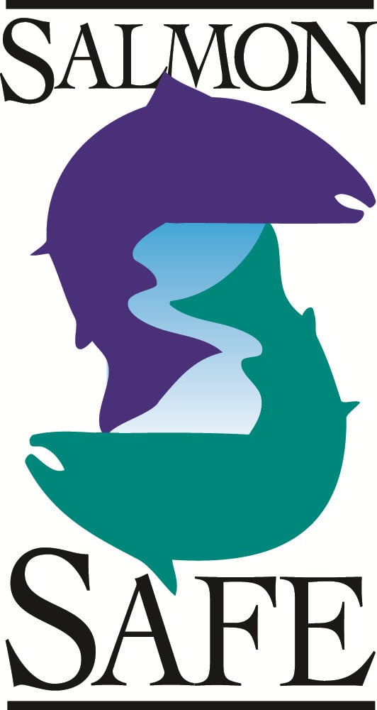 salmon_safe-color-logo