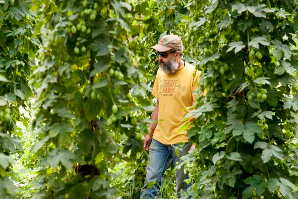 hops rogue farms brewmaster john maier