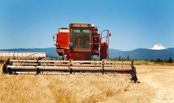 tractor barley rogue farms