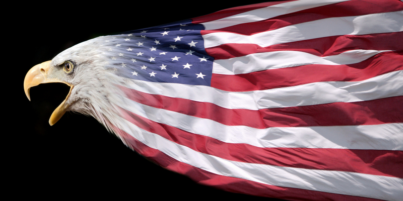 American flag eagle America politics cbb crop