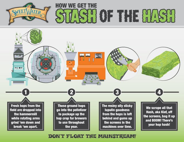 Hop hash Sweetwater infographic 