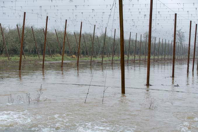 Rogue Farms flooding 2
