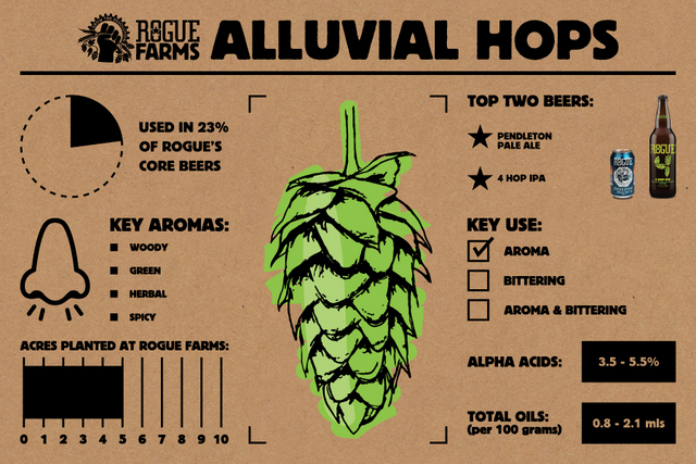 Rogue Alluvial Hops_Infographic