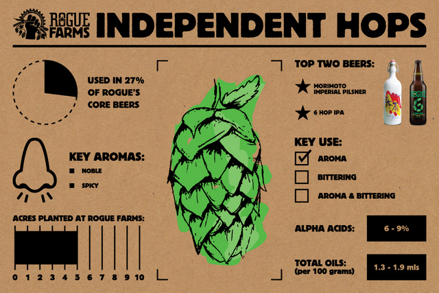 Rogue Independent Hops_Infographic