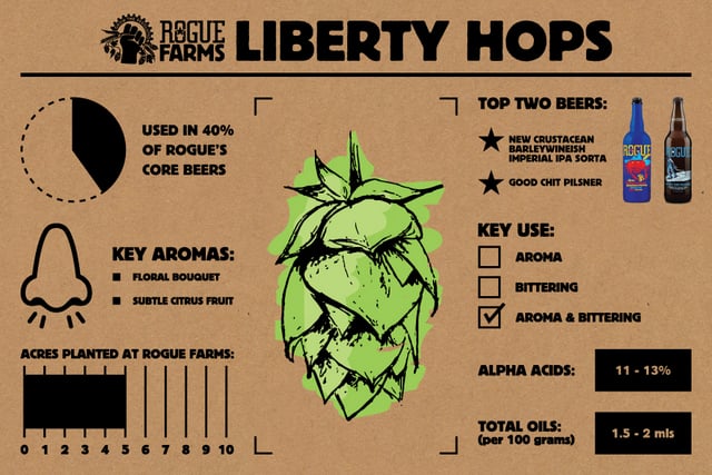 Rogue Liberty Hops_Infographic