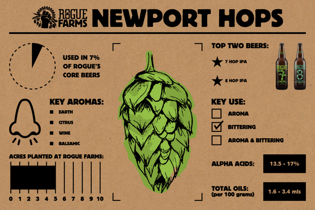 Rogue Newport Hops_Infographic