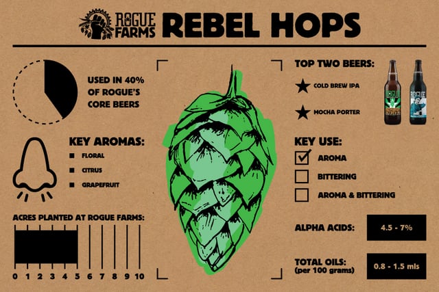Rogue Rebel Hops_Infographic