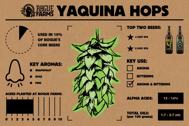 Rogue Yaquina Hops_Infographic