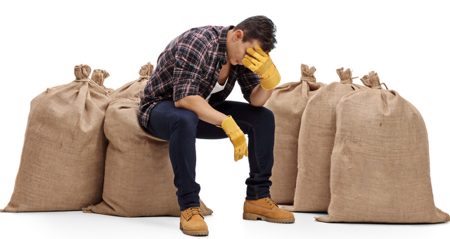 Depressed farmer sitting on a burlap sack and holding his head in disbelief isolated on white background