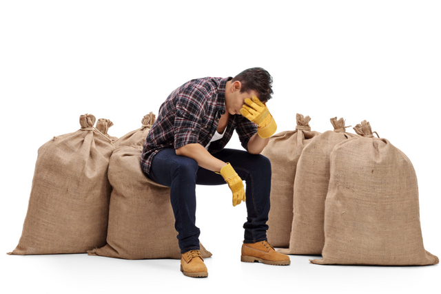 Depressed farmer sitting on a burlap sack and holding his head in disbelief isolated on white background