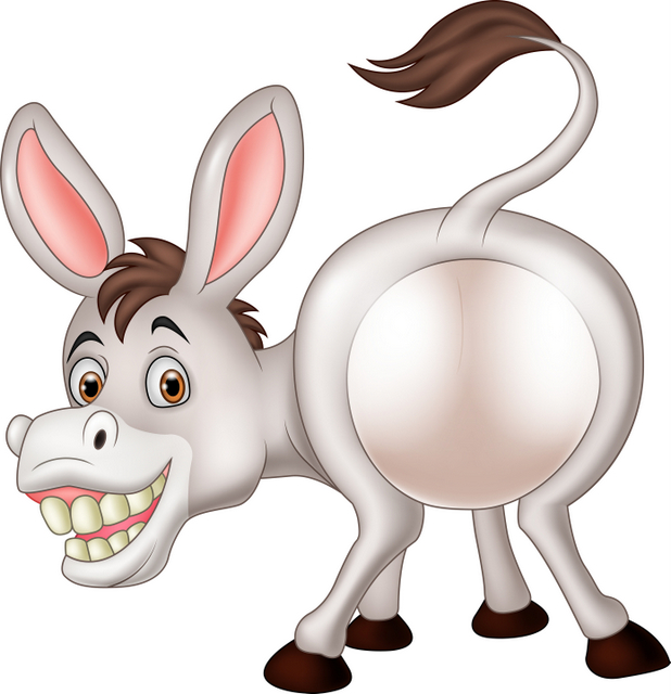 ass donkey 