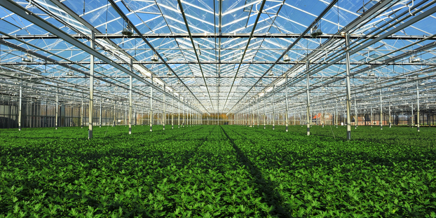 hydroponic hop greenhouse