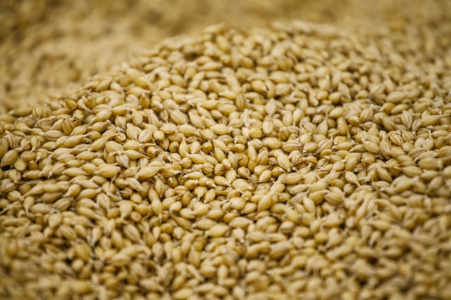 Admiral Maltings malt barley