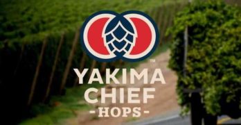 Yakima chief hops
