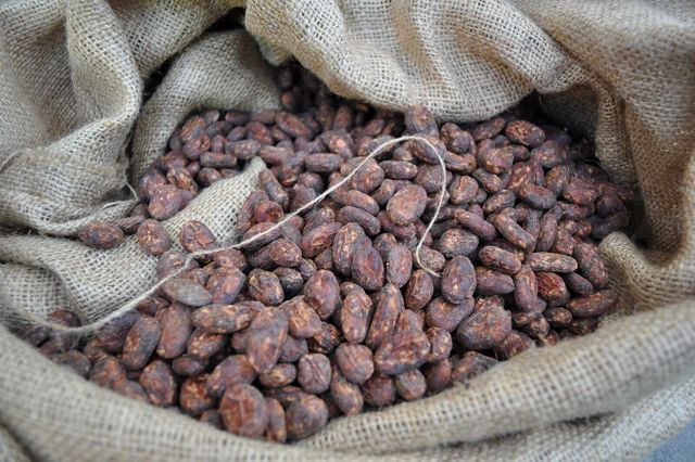 Marañón Chocolate cocao beens raw beans one White Labs 