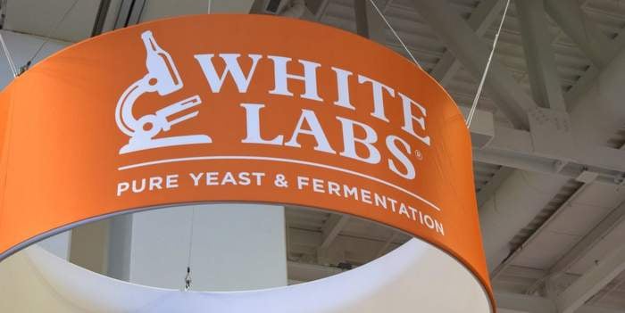 white labs yeast