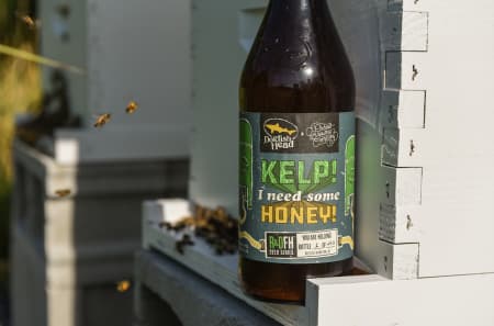 Kelp! I Need Some Honey