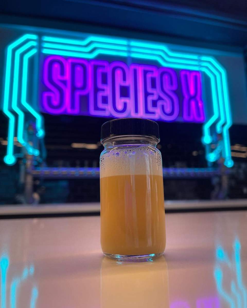 SpeciesX craft brewer neon sign with beer in jar
