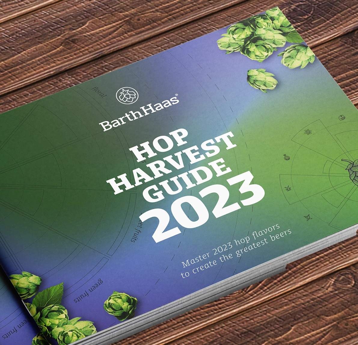 BarthHass hop harvest guide 2023